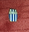 DELFINO PESCARA FC, PESCARA CALCIO- ORIGINAL VINTAGE ENAMEL PIN BADGE - Fussball