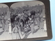 A CARAVAN Of CAMELS At JAFFA, PALESTINE" Stereo Photo R.Y. YOUNG " 1901 ( Voir Photo Pour Detail ) !! - Photos Stéréoscopiques