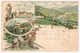 Gruss Aus INNBRUCK 1893 Colorierte Vorläufer-Litho - Innsbruck
