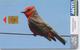 URUGUAY PHONECARD ANTEL(chip) BIRDS-Tc 329a-4/04-200000pcs-USED(bx1) - Uccelli Canterini Ed Arboricoli