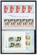 Europa-CEPT 1981. Completo (69s + 4b) ** MNH. - Años Completos