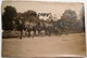 PHOTO Ancienne Attelage Chevaux Et Voiture  " Royalist Regat Spring Ebor " - York