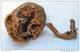 MOULAGE FOSSILE Crane Homme Neandertal La Chapelle Hominid Skull - Fossils