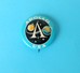 APOLLO - USA ... Vintage Pin Badge Espace Cosmos Universe Univers Weltall Universum Anstecknadel Distintivo - Espace