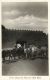 Nigeria, KANO, Cattle Coming Out From City Gate (1930s) RPPC - Nigeria