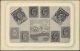 Falkland Islands, Stamp Postcard, Coat Of Arms (1910s) - Falkland Islands