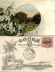 Tonga Islands, The Orange Groves (1909) Pre-Printed Stamp - Tonga