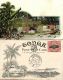 Tonga Islands, Native Stripping Bark For Tappa Making (1909) Pre-Printed Stamp - Tonga