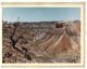 (529) Special Greeting Postcard - Coober Pedy - SA - Australia - Coober Pedy