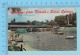 Greetings From Florida's Silver Spring , USA -  2 Scans - Souvenir De...