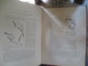 Delcampe - DR.DAVID BEERY HART- M.D.F.R.C.P.E- 1880- THE STRUCTURAL ANATOMY OF THE FEMALE PELVIC FLOOR- UNIVERSITY OF EDINBURGH- - Altri & Non Classificati