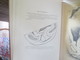 Delcampe - DR.DAVID BEERY HART- M.D.F.R.C.P.E- 1880- THE STRUCTURAL ANATOMY OF THE FEMALE PELVIC FLOOR- UNIVERSITY OF EDINBURGH- - Andere & Zonder Classificatie