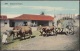 POS-475 CUBA POSTCARD. CIRCA 1910. OX TEAM. YUNTA DE BUEYES. - Cuba