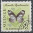 Guinea 1963. Scott #301 (U) Famille Papilionides Butterfly * - Guinée (1958-...)