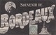 BORDEAUX - GIRONDE - (30)  - CPA ORIGINALE DE 1906. - Bordeaux