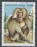 Guinea-Bissau 1983. Scott #457 (U) African Apes And Monkey, Comopithecus Hamadryas - Guinée-Bissau