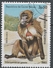 Guinea-Bissau 1983. Scott #459 (U) African Apes And Monkey, Theropithecus Gelada - Guinea-Bissau