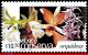 Ref. MX-2268 MEXICO 2002 FLOWERS &amp; PLANTS, CONSERVATION, ORCHIDS,, (10.50P), MNH 1V Sc# 2268 - Orchidées