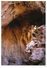 20J : Morocco Personality Stamp Used On Limestone Cave Postcard - Morocco (1956-...)