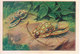 SWITZERLAND - NESTLE 'S PICTURE STAMP / CARD / LABEL - CURIOUS INSECTS - Advertising