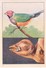 SWITZERLAND - NESTLE 'S PICTURE STAMP / CARD / LABEL - THE ANIMAL NURSERY - Advertising