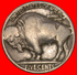 § INDIAN HEAD: USA &#x2605; 5 CENTS 1919! LOW START&#x2605; NO RESERVE! Buffalo "Black Diamond" (1893-1915) - 1913-1938: Buffalo