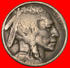 § INDIAN HEAD: USA &#x2605; 5 CENTS 1919! LOW START&#x2605; NO RESERVE! Buffalo "Black Diamond" (1893-1915) - 1913-1938: Buffalo