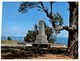 (719) Australia - NT - Darwin Ross Memorial - Darwin