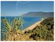 (720) Australia - QLD - Trinity Bay (with Stamp At Back Of Card) TOP Center Imperfaction As Ssen On Scan - Cairns