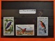 TB COLLECTION OISEAUX / AFRIQUE DU SUD TIMBRES NEUFS** TTB/LUXE - Collections, Lots & Séries