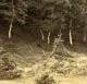 Royaume Uni Ecosse Braemar Invercauld Lion's Face Rock Anciennne Photo Stereo GW Wilson 1865 - Stereoscopic