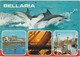 Cartolina - Postcard  - BELLARIA  - RIMINI - Rimini