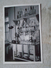 D149374  Old Photo  Chemistry Chimie - Laboratory Fermenter ?  Real Photo Ca 1950's - Photographs