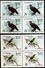 BIRDS OF CEYLON WOOD PIGEON, WHITE EYE, FLYCATCHER& COUCAL-SET OF 5 IN BLOCKS OF 4-MNH-H1-201 - Coucous, Touracos