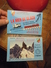 Lot De 2 Carnets CHAMONIX La Mer De Glace Train Du Montenvers Et Son Histoire / Centre Mondial D'Alpinisme : 20 CARTES - Chamonix-Mont-Blanc