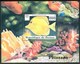 1997 Guinea Pesci Fish Fische Poissons Set MNH** Po14 - Fishes