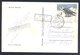 Russia CCCP 1966 Moscow Air Mail Postcard: Fauna Birds: Eagle Adler Aigle &#x9E70; Aquilla  Aguila; Birds Of Pray - Adler & Greifvögel