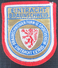 Eintracht Braunschweig GERMANY  FOOTBALL CLUB CALCIO OLD Stitching  PATCHES - Kleding, Souvenirs & Andere