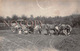 Carte Photo : Agriculture Paysans Agriculteurs Ferme Culture - Attelage & Camion Agricole - - Fermes