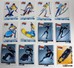 15 Cartes PITCH Sport Ski Luge Snowboard Patinage Bobsleigh Hockey Sport D'hiver - Sports D'hiver