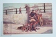 Old Postcard Belgium - Dog Life In Belgium - Oillette Illustrator - 4 Dogs Carriage - Sonstige & Ohne Zuordnung