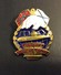 Russia Navy Submarine Forces, Badge Of The Northern Fleet Submariner, New ! - Navy