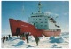 RB 1151 -  1979 British Antarctic Territory - Penguins - Halley Bay - Ship RRS Bransfield - Lettres & Documents
