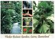(761) Australia - QLD - Cairns Botanic Gardens (with Stamp) - Cairns