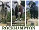 (761) Australia - QLD - Rockhampton Big Bull Statue - Rockhampton