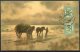 1921 Finland Horses Farming Painting Postcard Sala  - Reykjavik, Iceland - Covers & Documents