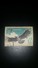 USED THEMATIC BIRDS  STAMPS - Eagles & Birds Of Prey