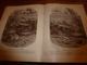 Delcampe - 1901:La Vierge De La Victoire; Macbeth;Henri IV;Shakespeare; La Pêche A La Ligne En Eau Douce;Méo Patacca; Etc - Non Classés