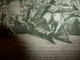 Delcampe - 1901:Exposition ENFANCE Dans L'art Et L'histoire;Cosaques Zaporogues;Evasion De CASANOVA à Venise;Henri Sienkiewicz,etc - Unclassified