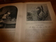 Delcampe - 1901:  Don Quichotte, Sancho Pança, Miguel De Cervantes à Valladolid ;Vie Aux Champs; L'ENFANT Et Les CHATS; Etc - Non Classés